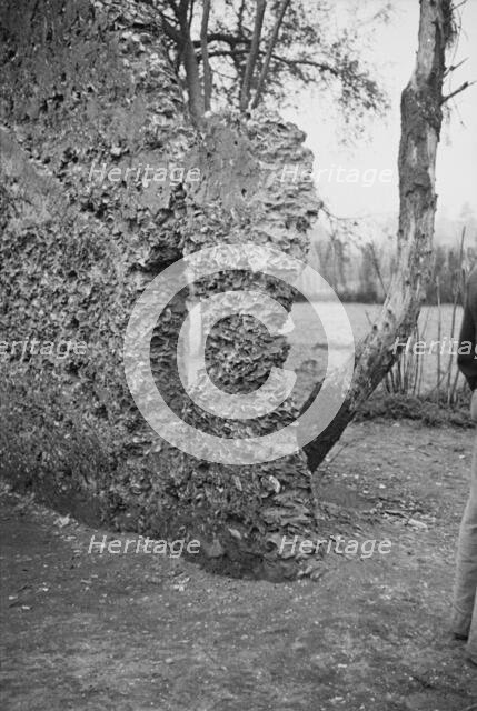 Possibly: Tabby construction, ruins of supposed Spanish mission, St. Marys, Georgia, 1936. Creator: Walker Evans.