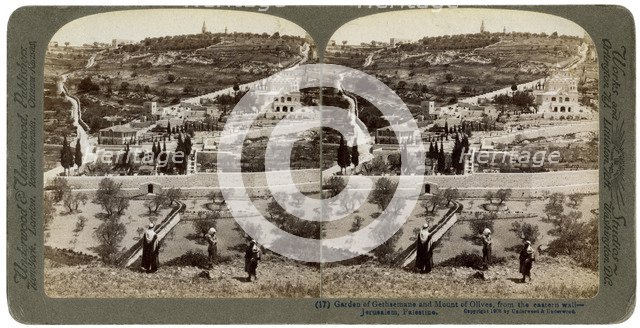 The Garden of Gethsemane and the Mount of Olives, Palestine, 1908.Artist: Underwood & Underwood