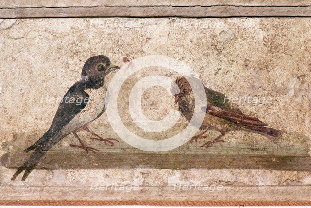 Swallow and Sparrow, Roman wall painting from Boscoreale near Pompeii, 1st century Artist: Unknown.