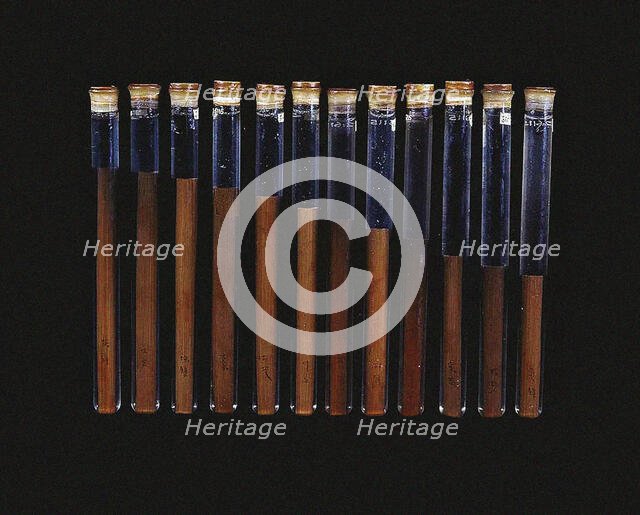 Chinese twelve-tone pitch pipes (from the tomb of Xin Zhui in Mawangdui), ca 160 BC. Creator: Anonymous master.