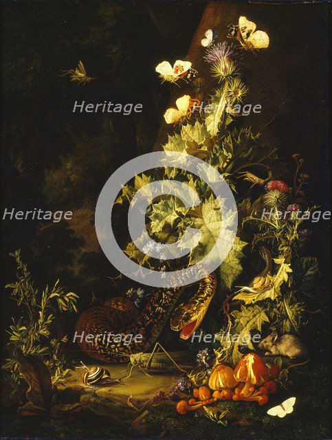 Still Life with a Snake, early 18th century. Artist: Elias Van Den Broeck.