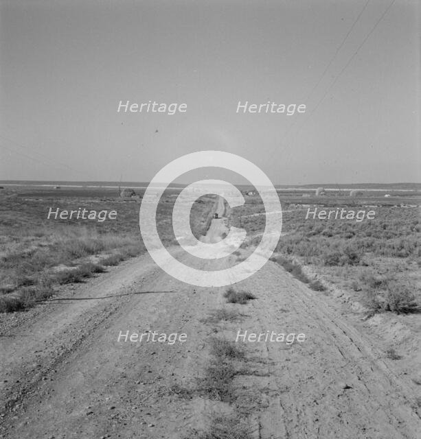 The cream truck coming down the road..., Nyssa Heights, Malheur County, Oregon, 1939. Creator: Dorothea Lange.