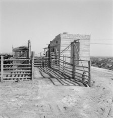 Country slaughterhouse for use of farmers, one mile north of Nyssa, Malheur County, Oregon, 1939. Creator: Dorothea Lange.