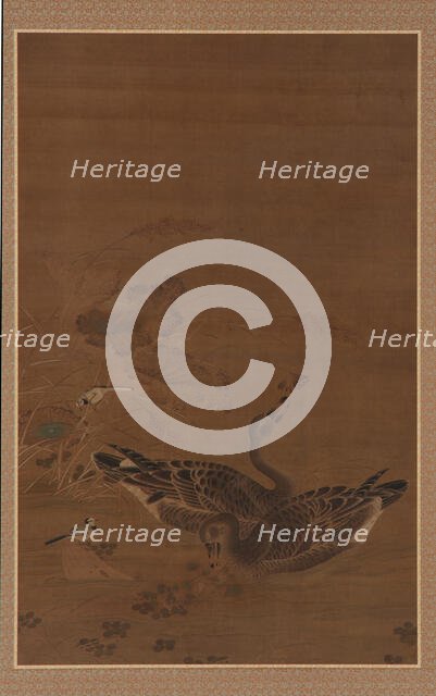 Two Geese Feeding in a Lotus Pond, Ming dynasty, 16th-17th century. Creator: Unknown.