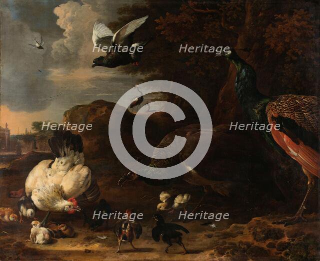 Two Peacocks Threatening a Hen with Chicks, Known as ‘The Threatened Hen’, 1681. Creator: Melchior d'Hondecoeter.