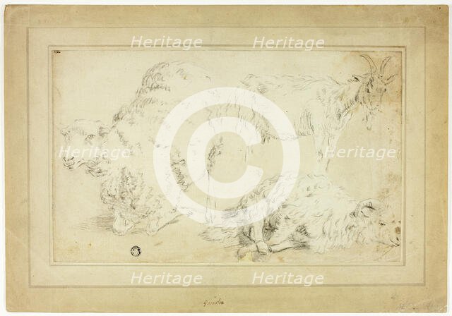 Sketches of Sheep and Goat, 18th century. Creator: Unknown.