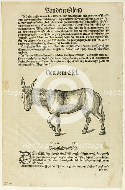 Illustration from "Thierbuch", plate 42 from Woodcuts from Books of the XVI Century...1937. Creators: Hans Asper, Max Geisberg.