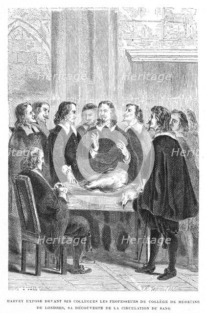 Harvey demonstrating circulation of the blood to the College of Physicians, c1628 (1870). Artist: Unknown