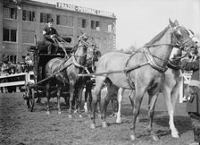 Horse Shows - Adolphus Busch, 3rd of St. Louis, 1911. Creator: Harris & Ewing.