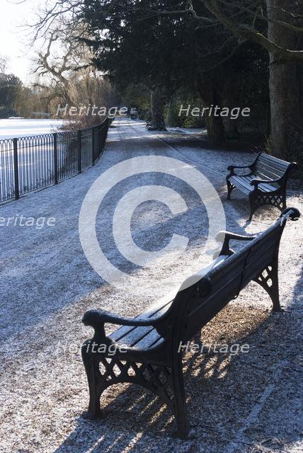 Chiswick Gdns & Park, London, England, UK, 1/2/10. Creator: Ethel Davies.
