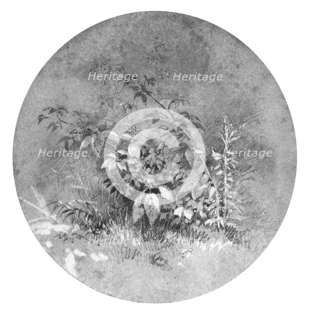 Study of Ground Foliage (from Cropsey Album). Creator: William Trost Richards.