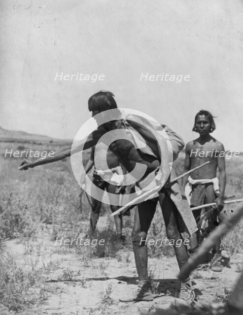 Snake gathering [D]-Hopi, c1907. Creator: Edward Sheriff Curtis.
