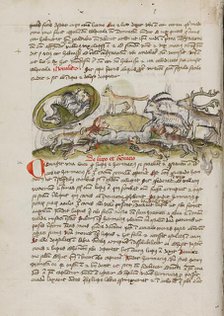 A Lion in its Den and Animals Biting a Wolf; Fables, third quarter of 15th century. Creator: Unknown.