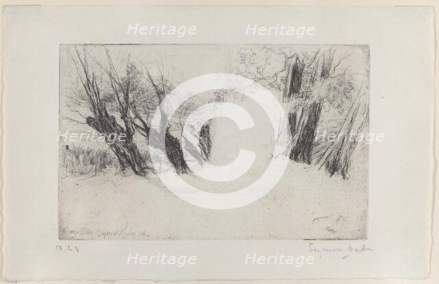 The Lovers' Walk, No. I, 1864., 1864. Creator: Francis Seymour Haden.