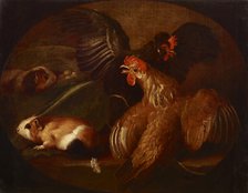 Hens and Guinea Pigs, between 1718-1720. Creator: Giovanni Agostino Cassana.
