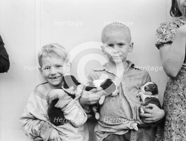 Migrant cotton picker's child, Shafter Camp for migrants, CA, 1938. Creator: Dorothea Lange.