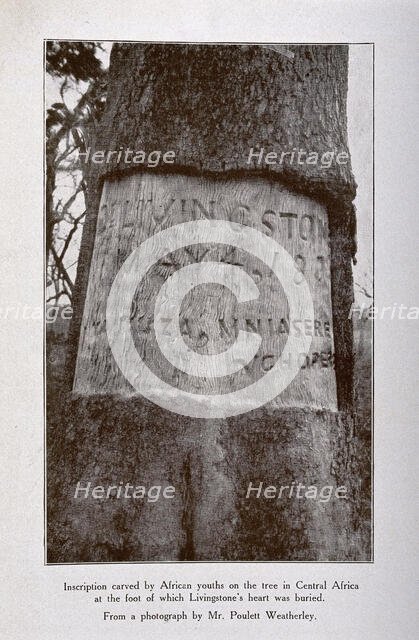 Tree in central Africa where David Livingstone's heart is buried, showing the inscription.., c1900. Creator: Unknown.