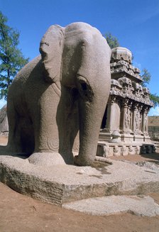 Carved stone elephant, Five Rathas, Mahabalipuram, Tamil Nadu, India.