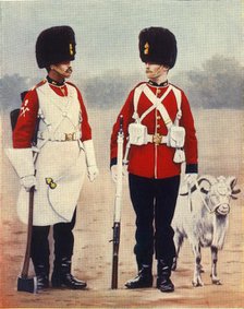 'The Royal Welsh Fusiliers', 1901. Creator: Gregory & Co.