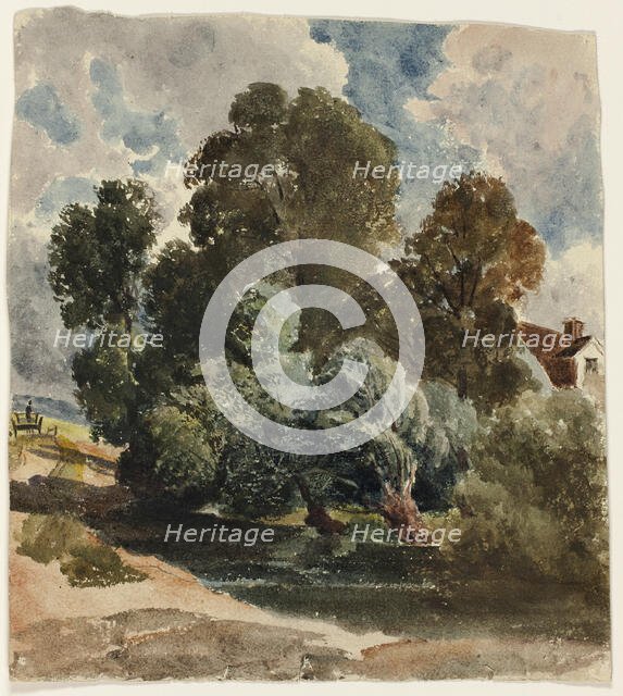 Grove of Trees (recto), c. 1830. Creator: Peter de Wint.