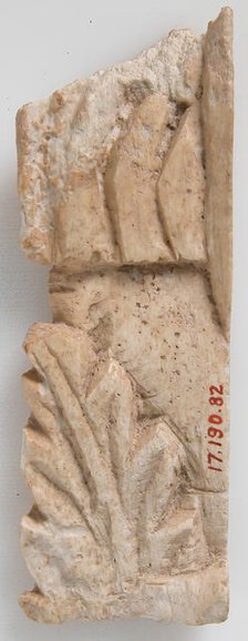 Relief Fragment with Ancanthas Leaf Design, Coptic, 6th-7th century. Creator: Unknown.