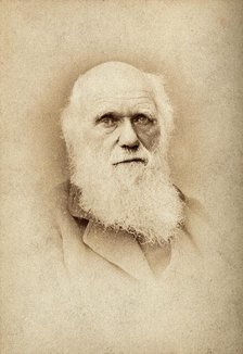 Charles Robert Darwin. Creator: Barraud.