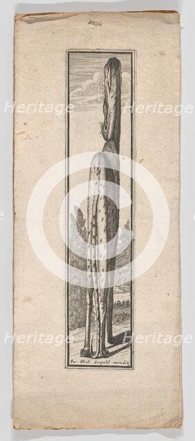 Series of Six Anamorphic Animal Prints, ca. 1700. Creator: Joseph Friedrich Leopold.