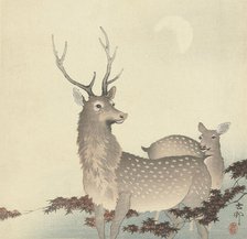 Two Deer, Between 1910 and 1920. Creator: Ohara, Koson (1877-1945).