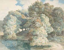 Trees by the Lake, Peamore Park, near Exeter, Devon, 1790-1810. Creator: Francis Towne.