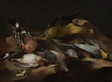 Still Life of Birds and a Butterfly, c1650. Creator: Unknown.