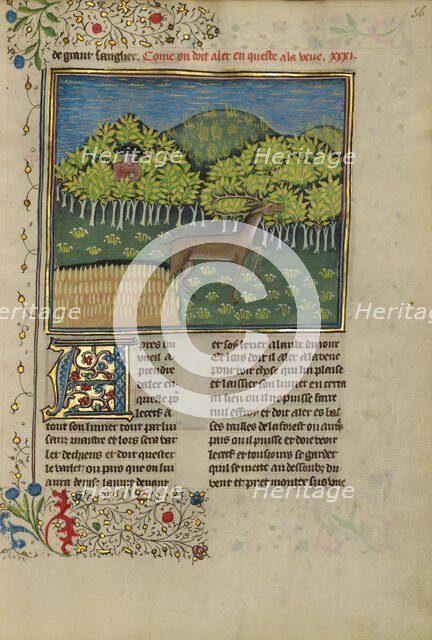 A Hunter Spotting a Deer; Livre de la Chasse, about 1430-1440. Creator: Unknown.