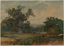 View near Bedford. Creator: Bradford Rudge (British, 1805-1885).