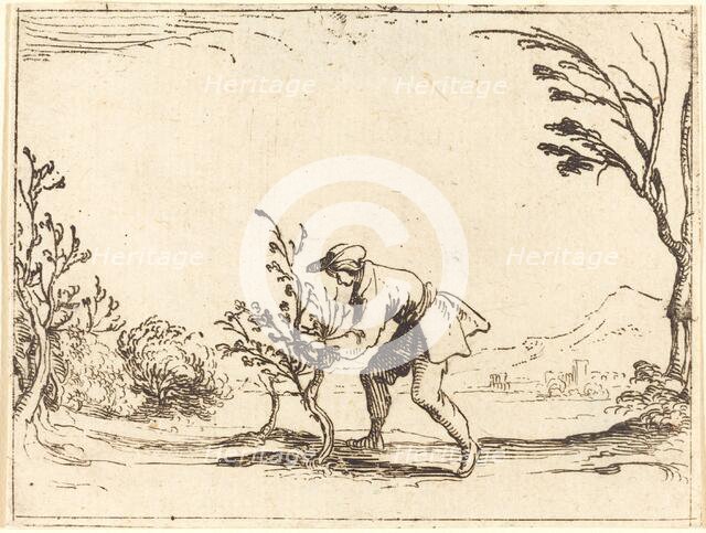 Man Cutting a Balm-Tree. Creator: Jacques Callot.