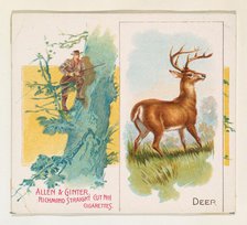 Deer, from Quadrupeds series (N41) for Allen & Ginter Cigarettes, 1890. Creator: Allen & Ginter.