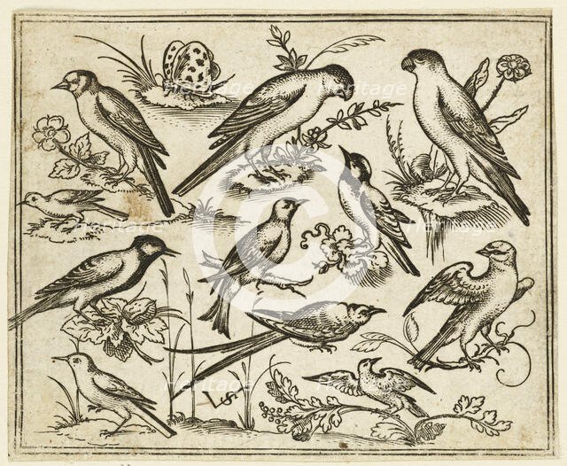 Eleven birds sitting on patches of flowering foliage and small branches..., 1557.  Creator: Virgil Solis.