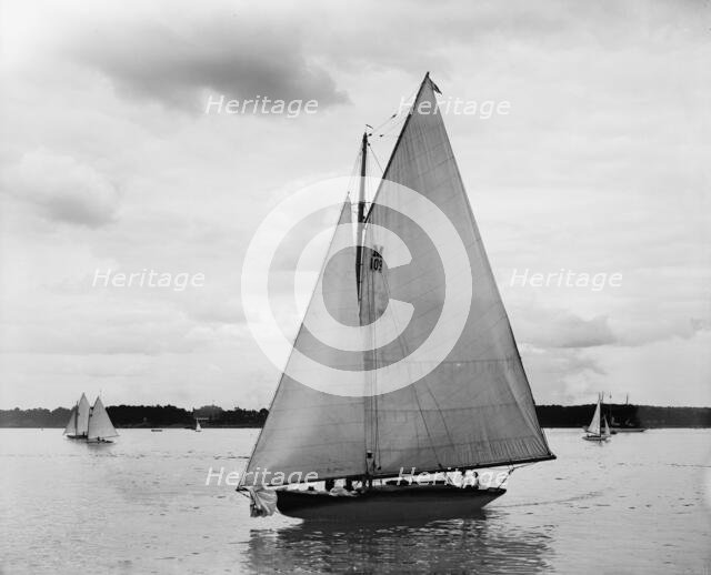 Possum, 1899 June 17. Creator: John S Johnston.