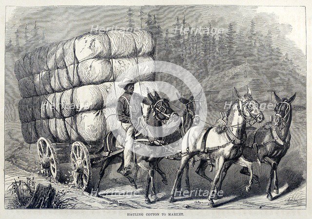 Hauling Cotton to Market, from One Hundred Years' Progress of the United States, pub. 1871 (engravin Creator: American School (19th Century).