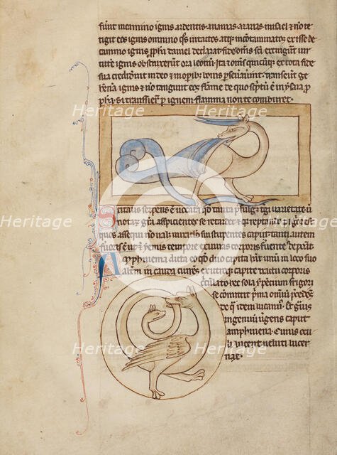 A Scitalis; An Amphisbaena; Northumberland Bestiary, about 1250-1260. Creator: Unknown.