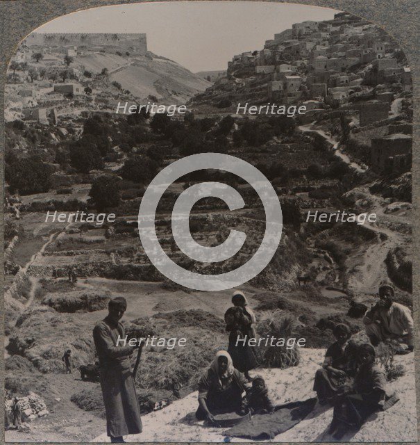 'Threshing on roof; overlooking the valley of Kedron', c1900. Artist: Unknown.