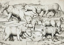 Sheet of Animals, 1547. Creators: Enea Vico, Antonio Lafreri.