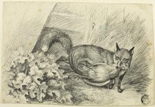 Fox Stealing a Cock, n.d. Creator: Samuel Howitt.