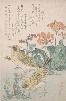 Skylarks and Primroses..., ca. 1805-10. Creator: Kubo Shunman.