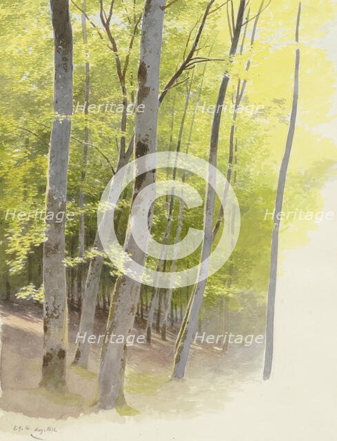 Forest section, 1871. Creator: Carl Theodor Reiffenstein.