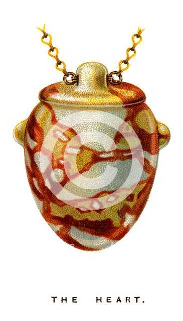 The Heart, 1923. Artist: Unknown