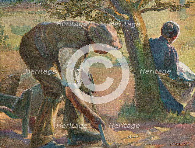 'Sunlight', 19th century. Artists: James Clark, Ralph Nevill.