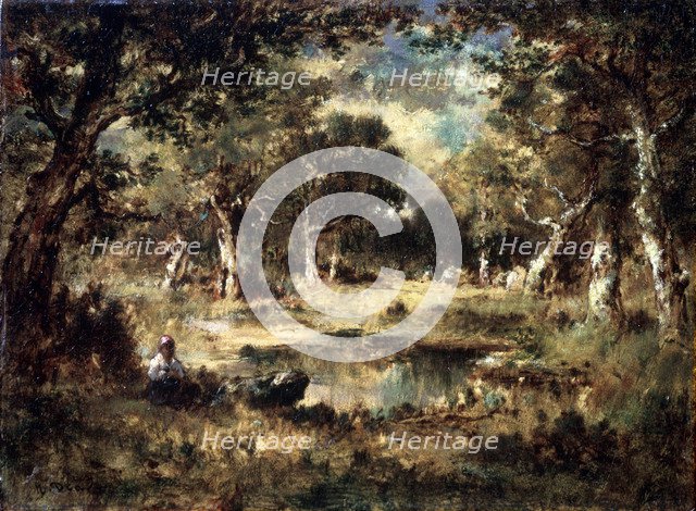 'Forest Swamp', 1870.  Artist: Narcisse Virgile Diaz de la Pena