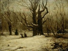 Winter Landscape, 1850-1877. Creator: Gustave Courbet.