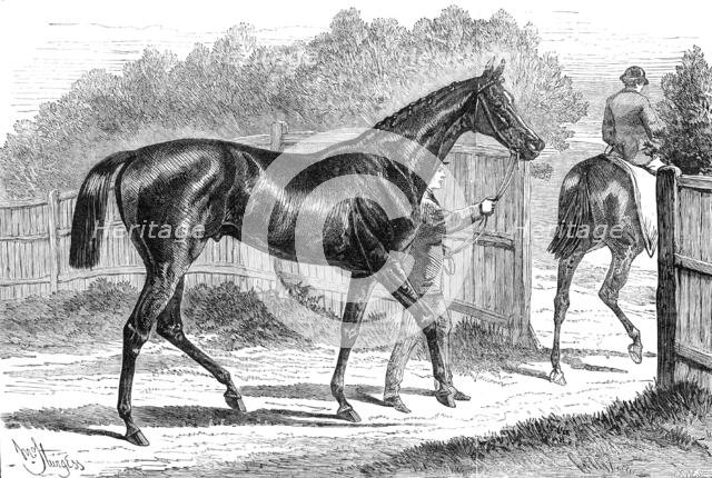 Iroquois, the winner of the Derby, 1881. Creator: Crane.