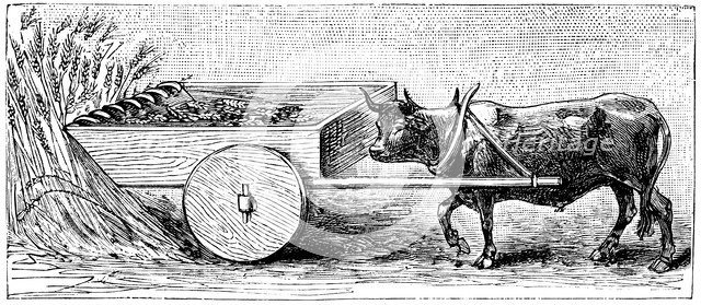 Reconstruction of reaping machine used in Gaul in Ancient Roman times, as described by Pliny, c1890. Artist: Unknown
