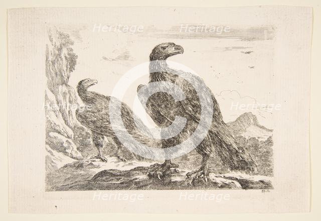 Two eagles, from 'Eagles' (Les aigles), ca. 1651. Creator: Stefano della Bella.